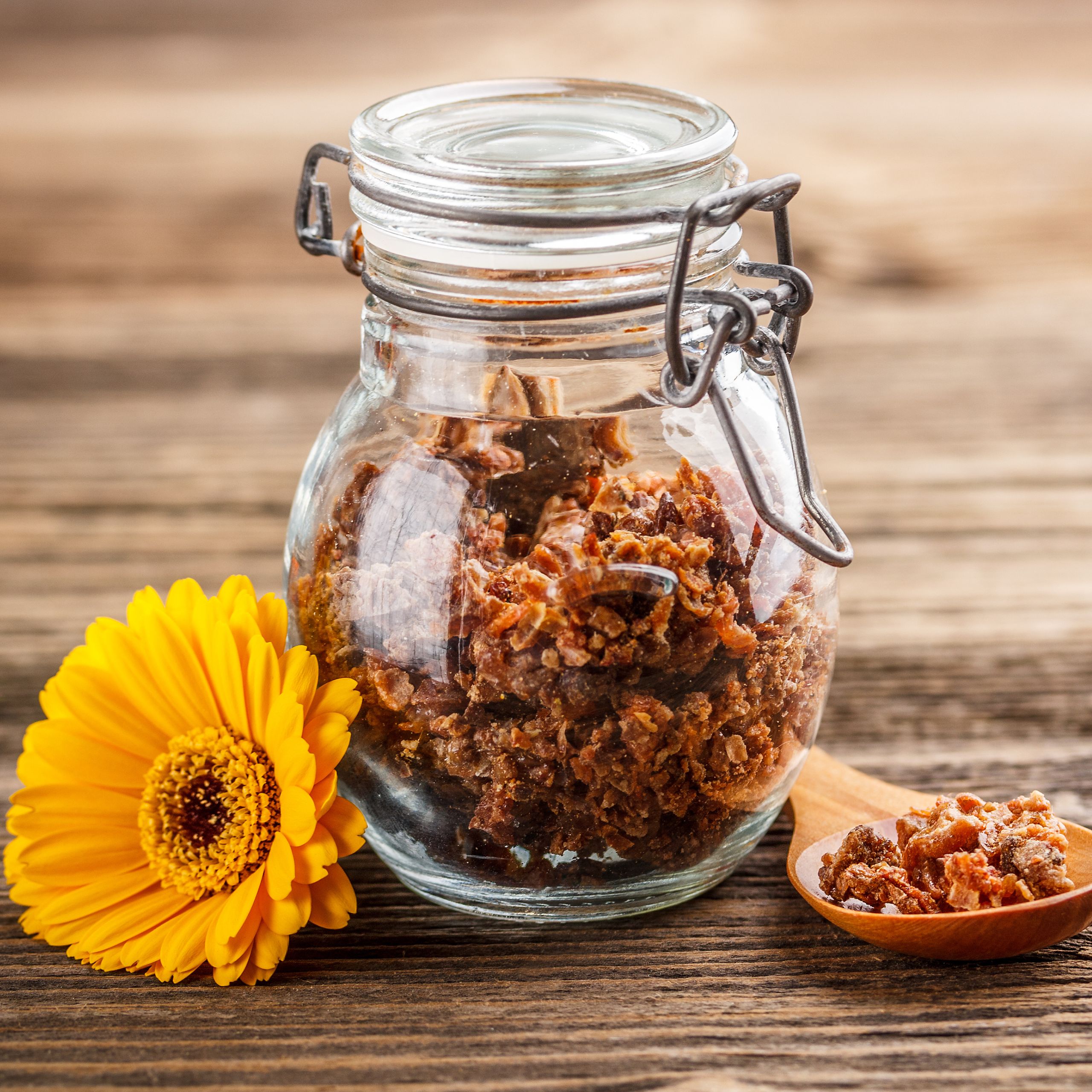 Propolis właściwości